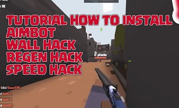 Play hacked shooting games